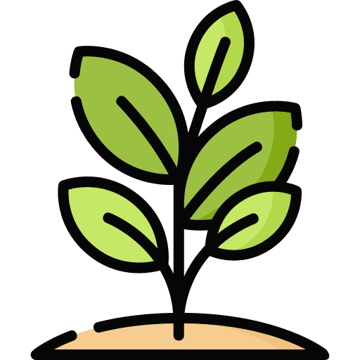 La valle degli aromi