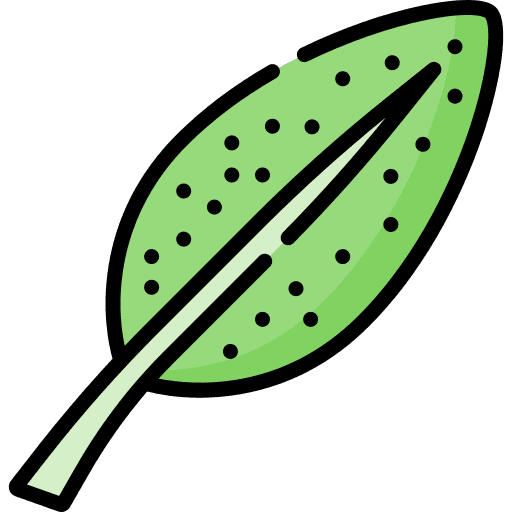 La valle degli aromi